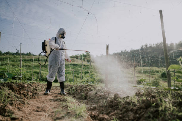 Best Pest Removal Services  in Sinking Spring, PA