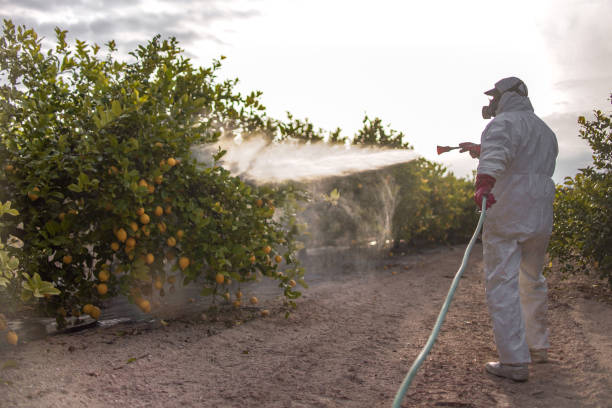 Best Mosquito Control Services  in Sinking Spring, PA