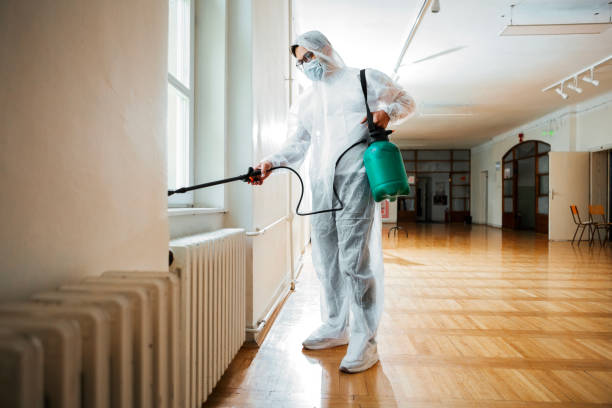 Professional Pest Control in Sinking Spring, PA