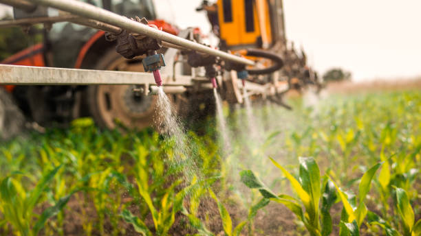Reliable Sinking Spring, PA Pest Control Solutions